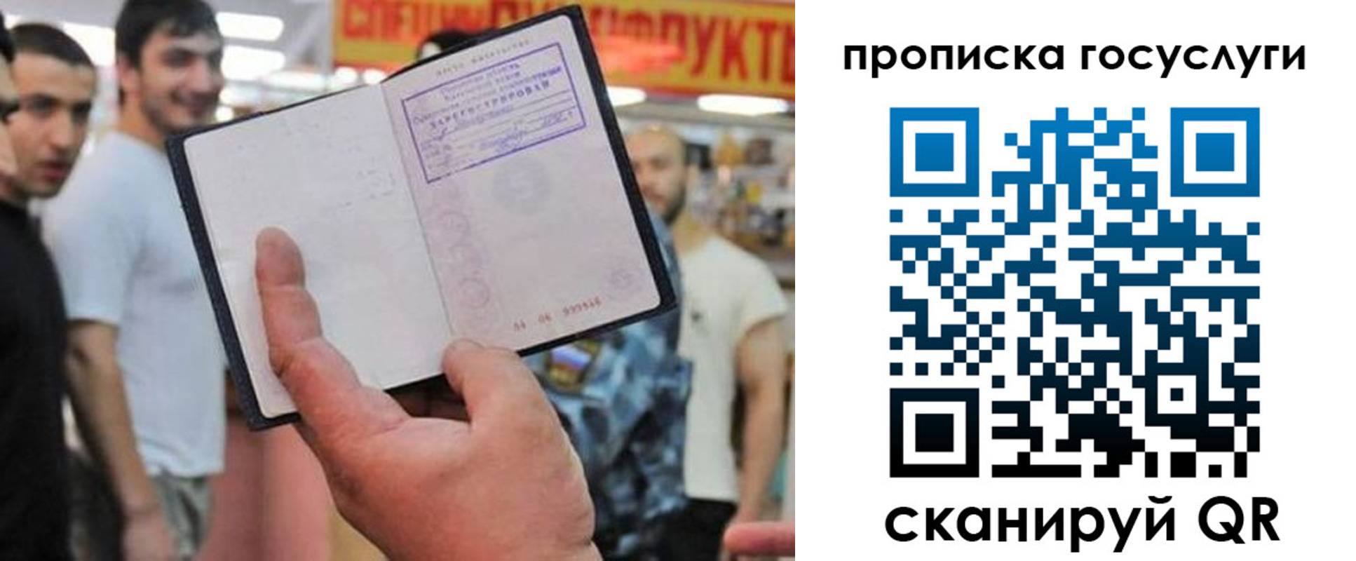 где прописаться в Коле